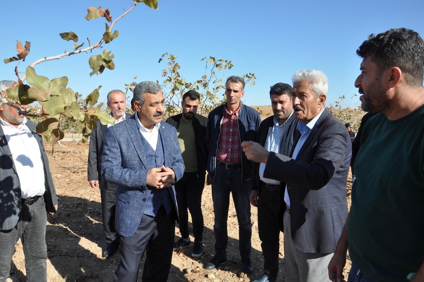 HÜDA PAR Batman İl Başkanı Şahin: Fıstık ağaçlarının bulunduğu yerde TOKİ yapılmamalı HÜDA PAR Batman İl Başkanı Şahin: Fıstık ağaçlarının bulunduğu yerde TOKİ yapılmamalı